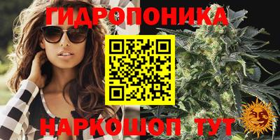 spice Апрелевка