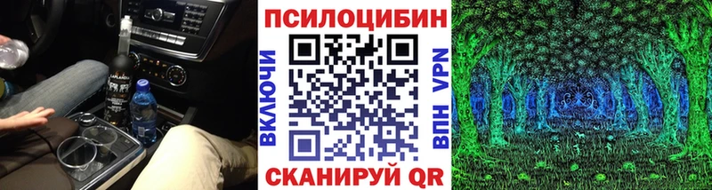 Купить закладки  Темрюк  Галлюциногенные грибы MAGIC MUSHROOMS 