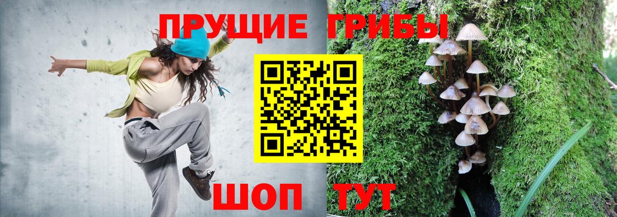 Галлюциногенные грибы GOLDEN TEACHER  Псилоцибиновые грибы Magic Shrooms  Вход с VPN  Темрюк 
